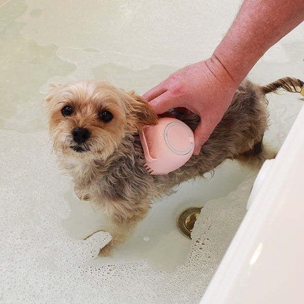 Pet Wash Brush