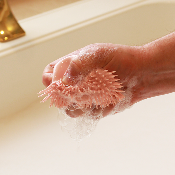 Pet Wash Brush