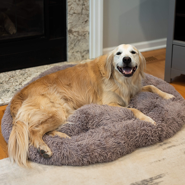 Anxiety Calming Pet Bed
