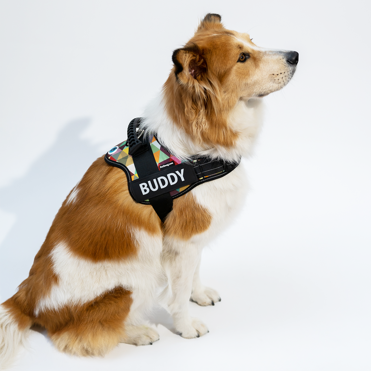thumbnail image 2 of JL Happy Dog No Pull Dog Harness - Padded & Comfortable Walking Harness 2 of 2