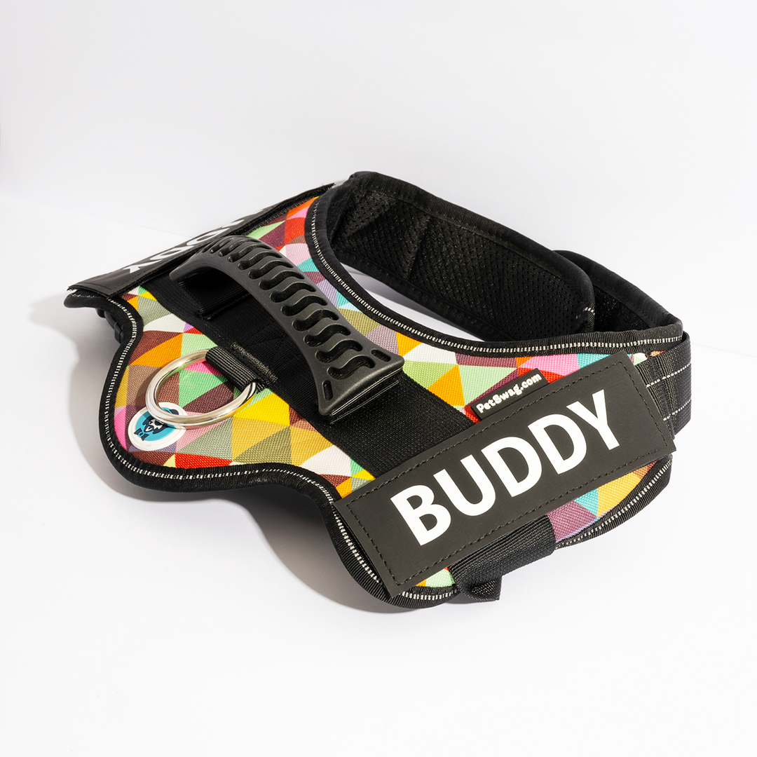 No Pull Dog Harness AntiChoke Walking Harness PetSwag Harnes