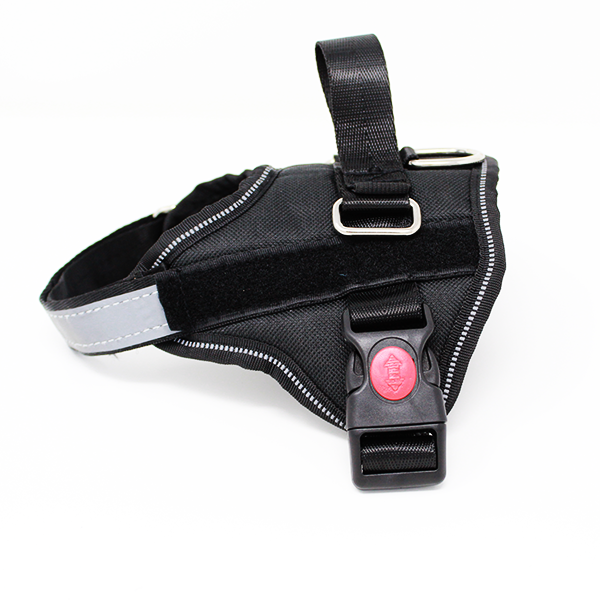 No-Pull Dog Harness (Used In New Condition)