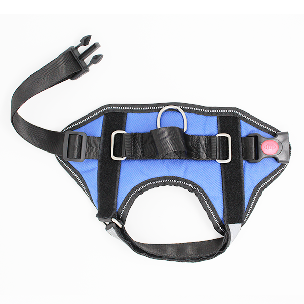 No-Pull Dog Harness (Used In New Condition)