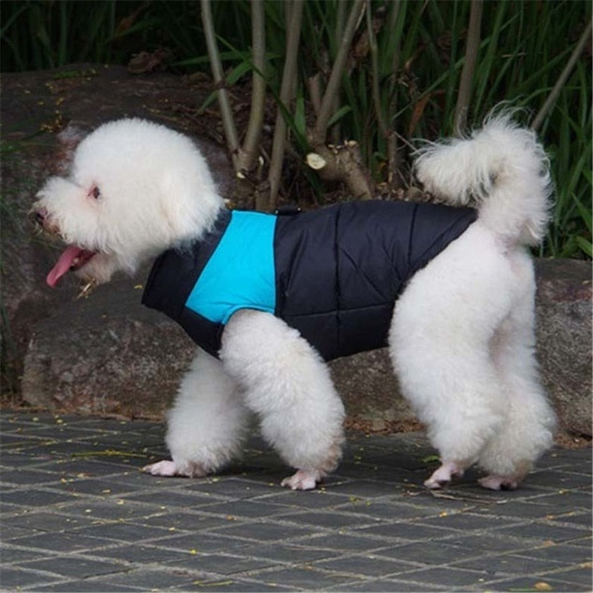 Warm Winter Dog Jackets